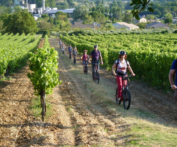JEUDI VIGNERON PREMIER 020 JEUDI VIGNERON PREMIER 020